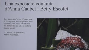 Anna Caubet i Betty Escofet en una exposició conjunta al Castell Carolingi
