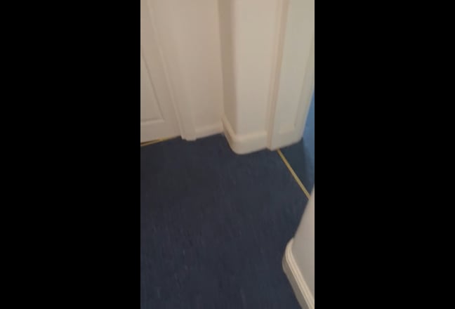 Video 1: 
