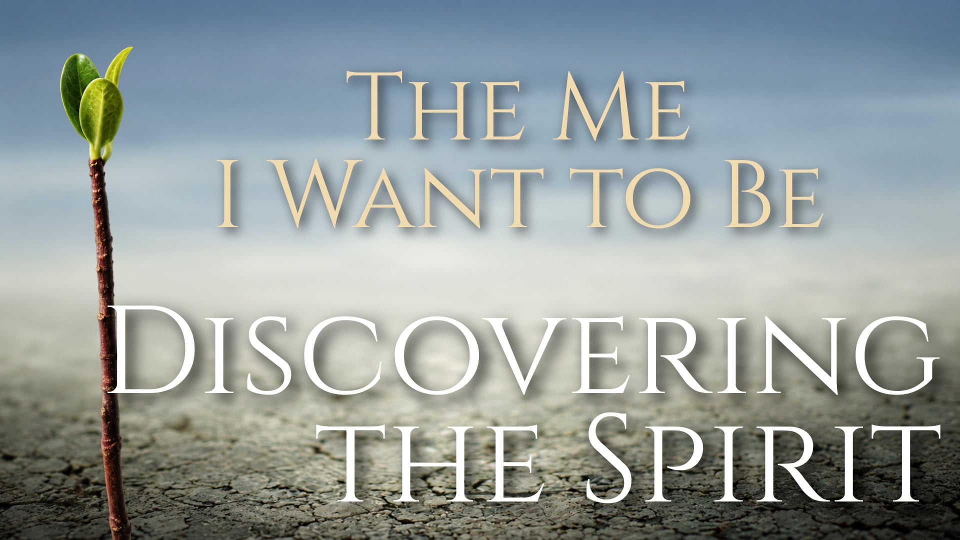 Discovering the Spirit