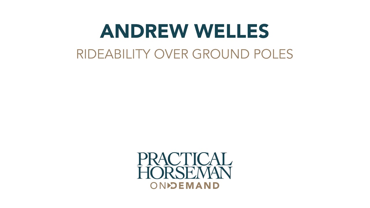 Canter Control - Rideability Over Ground Poles | Andrew Welles | PART 03