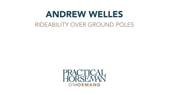 Canter Control - Rideability Over Ground Poles | Andrew Welles | PART 03