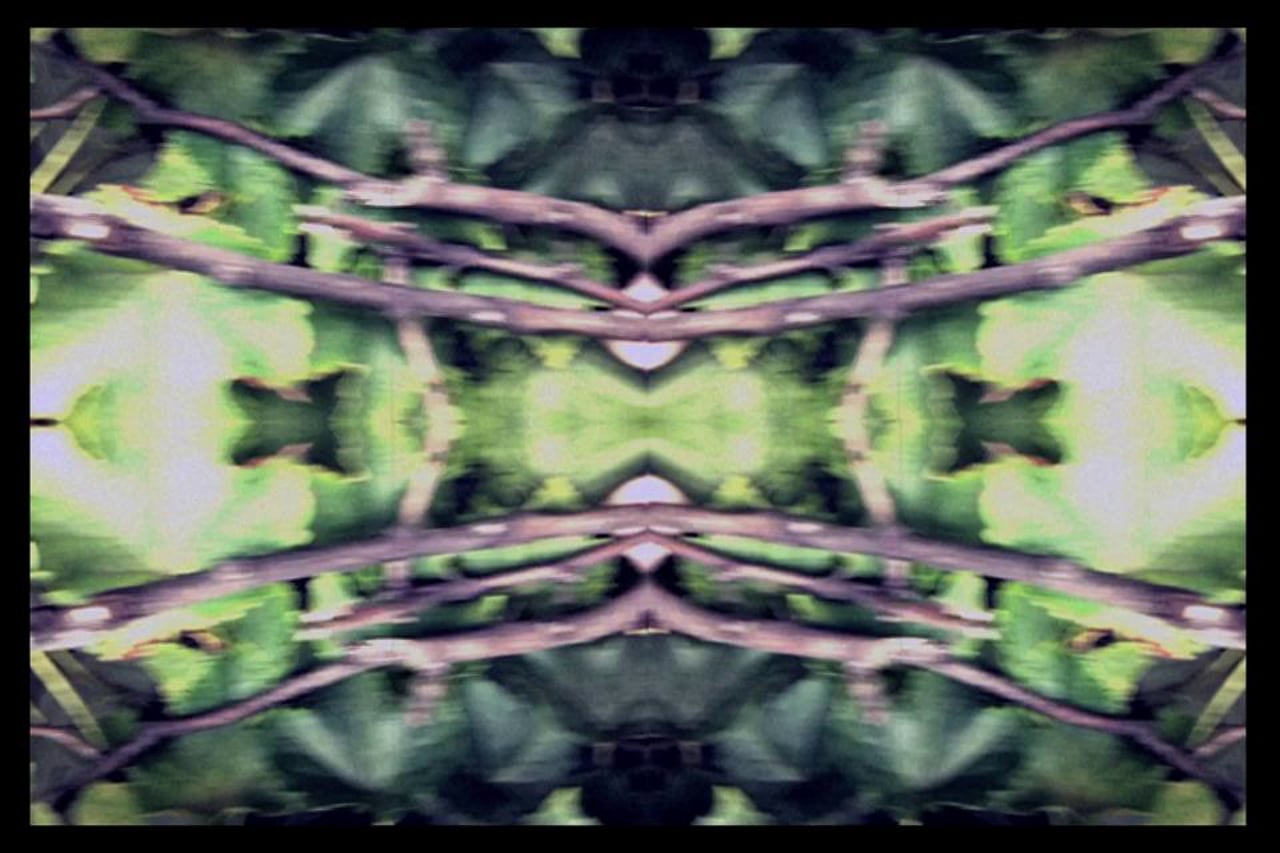 Bruce Peninsula - Pull Me Under
