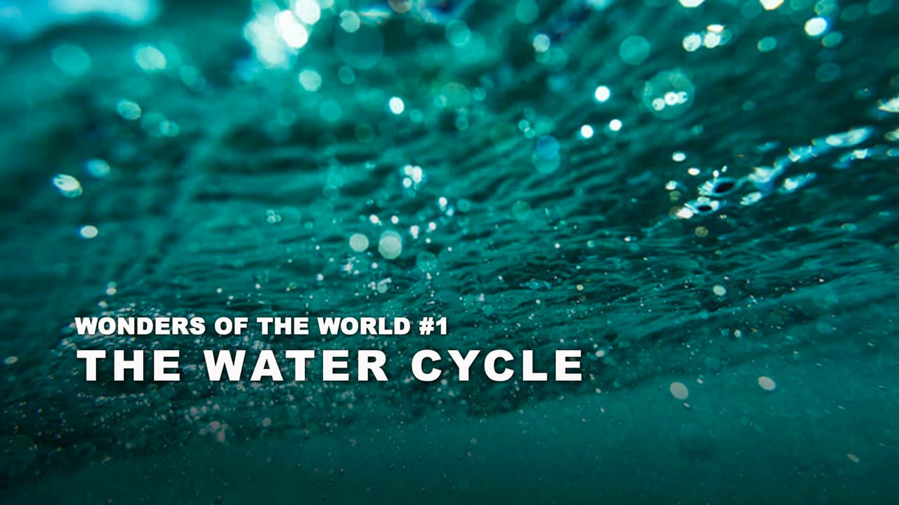 WOW - 01 - The Water Cycle - final