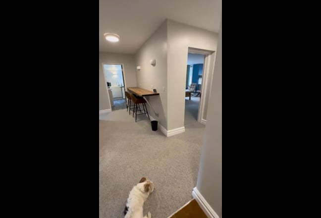 Brand New |Studio-Style Ensuite Rooms |West End Main Photo