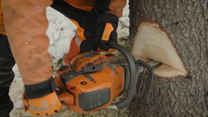 Related Embedded Video Item Thumbnail