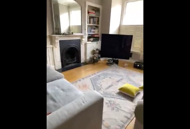 Video 1: 