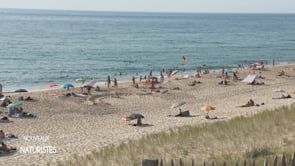 The Naturists’ Secret Hideaways