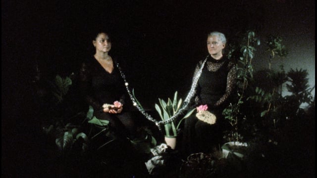 Still 1