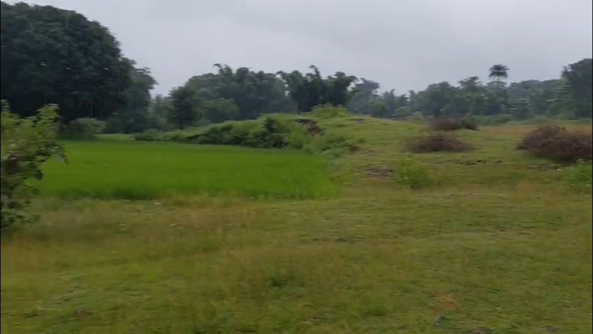 जमीन सर्वे के दौरान बहियार में मिला शव