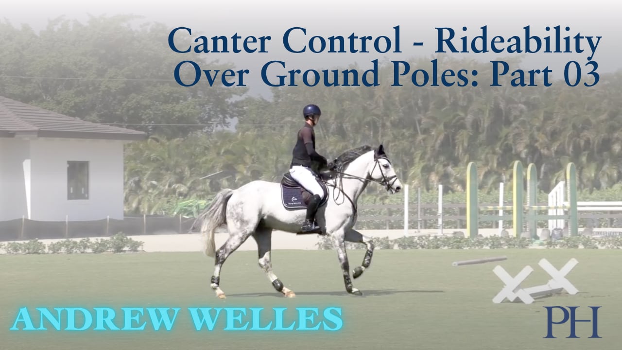 Canter Control - Rideability Over Ground Poles | Andrew Welles | PART 03