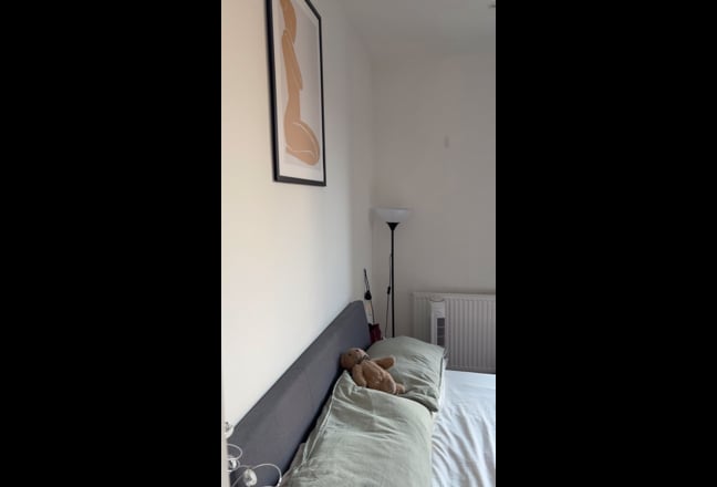 Double Room in Acton available! Main Photo