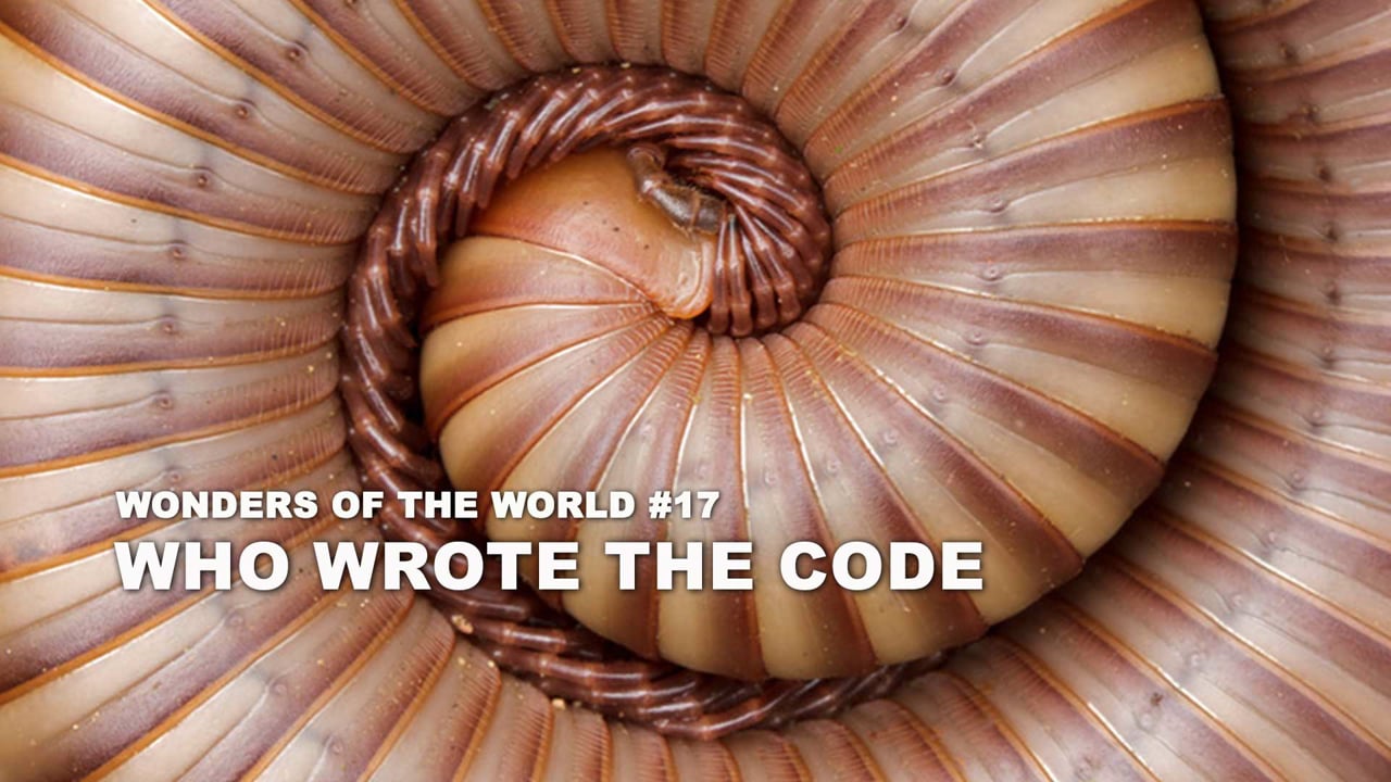 WOW - 17 - Who Wrote The Code - duplicate
