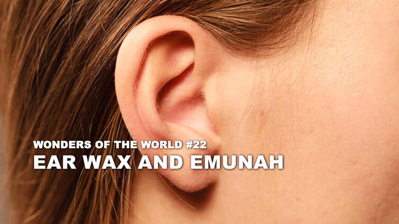 WOW - 22 - Ear Wax and Emunah - duplicate
