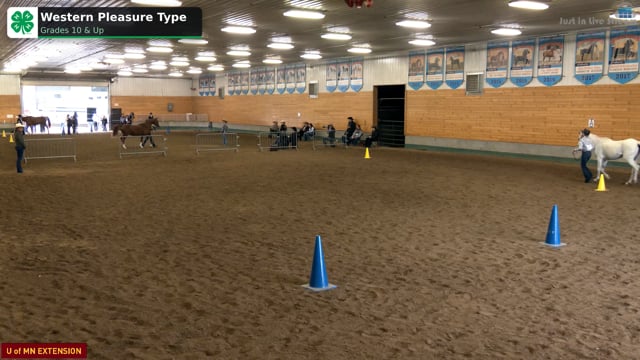 Western Pleasure Type (North)