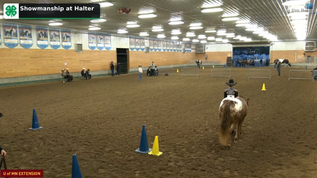 Western Showmanship