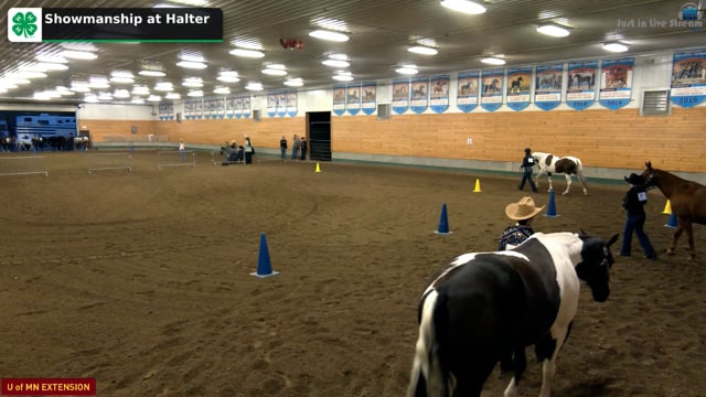 Western Showmanship