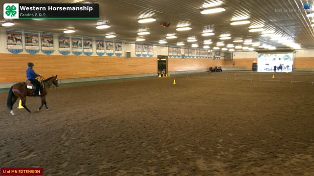 Western Horsemanship