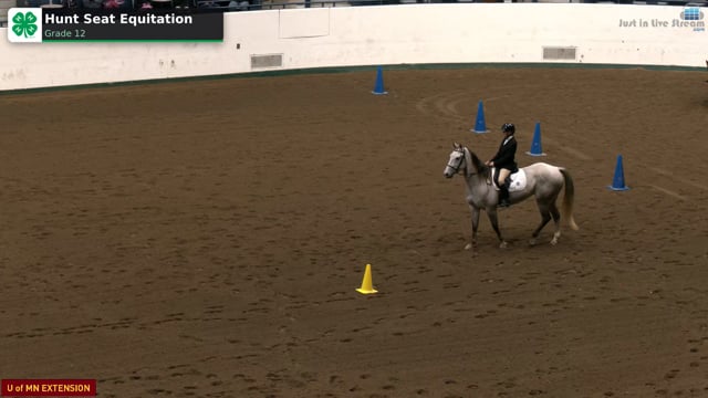 Hunt Seat Equitation