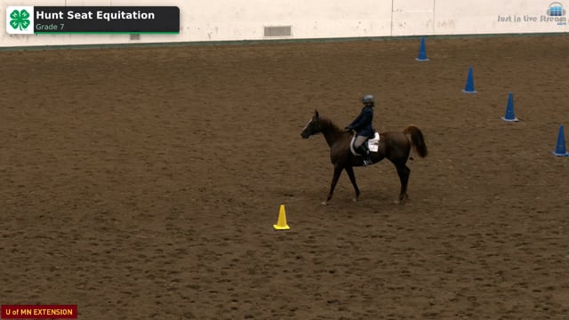 Hunt Seat Equitation