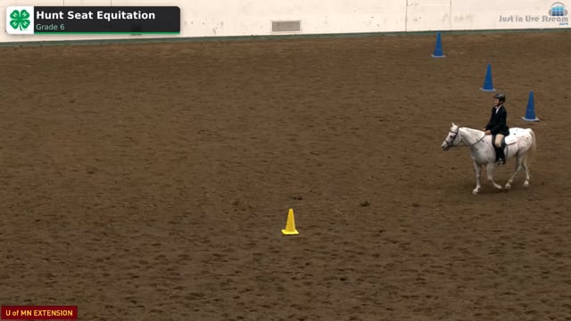 Hunt Seat Equitation