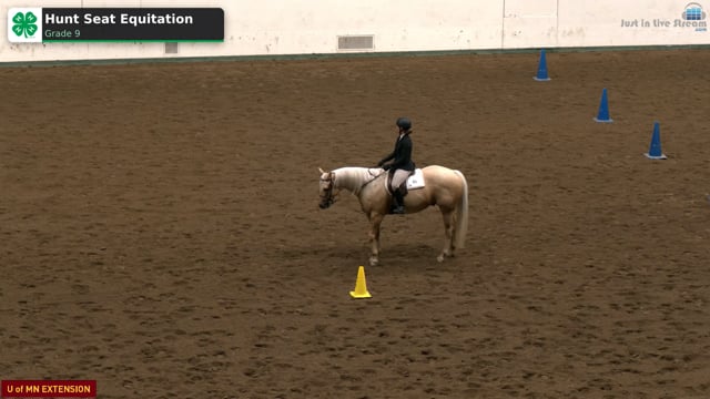 Hunt Seat Equitation