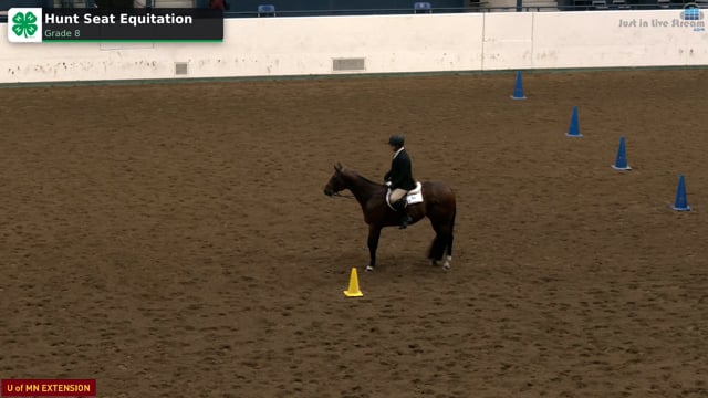 Hunt Seat Equitation