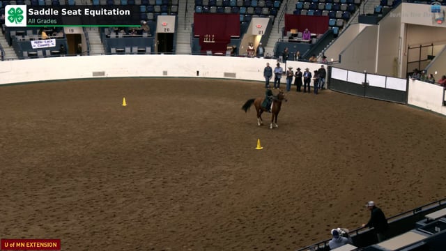 Saddle Seat Equitation