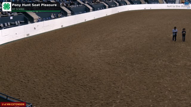Hunt Seat Pleasure