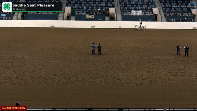 Saddle Seat Pleasure