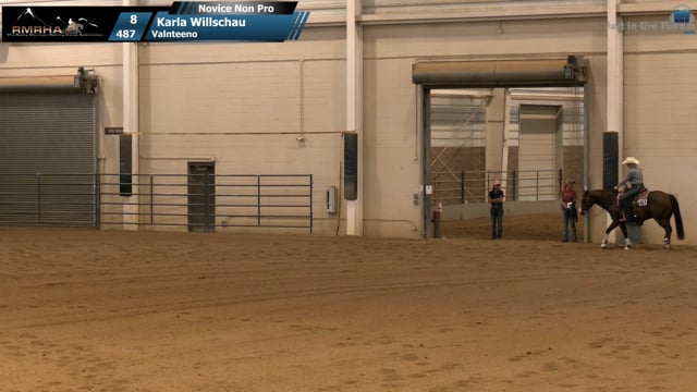 #487 Karla Willschau