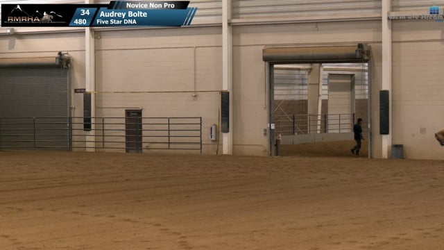 #480 Audrey Bolte