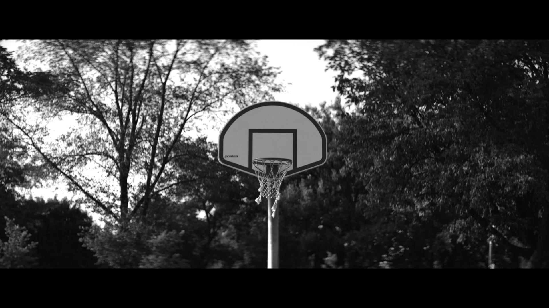 How To Change The World | Chicago CRED | Benji Wilson