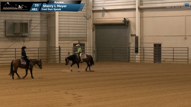 #482 Sherry L Meyer