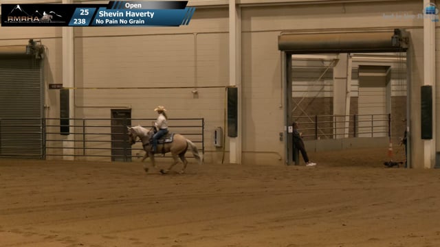#238 Shevin Haverty