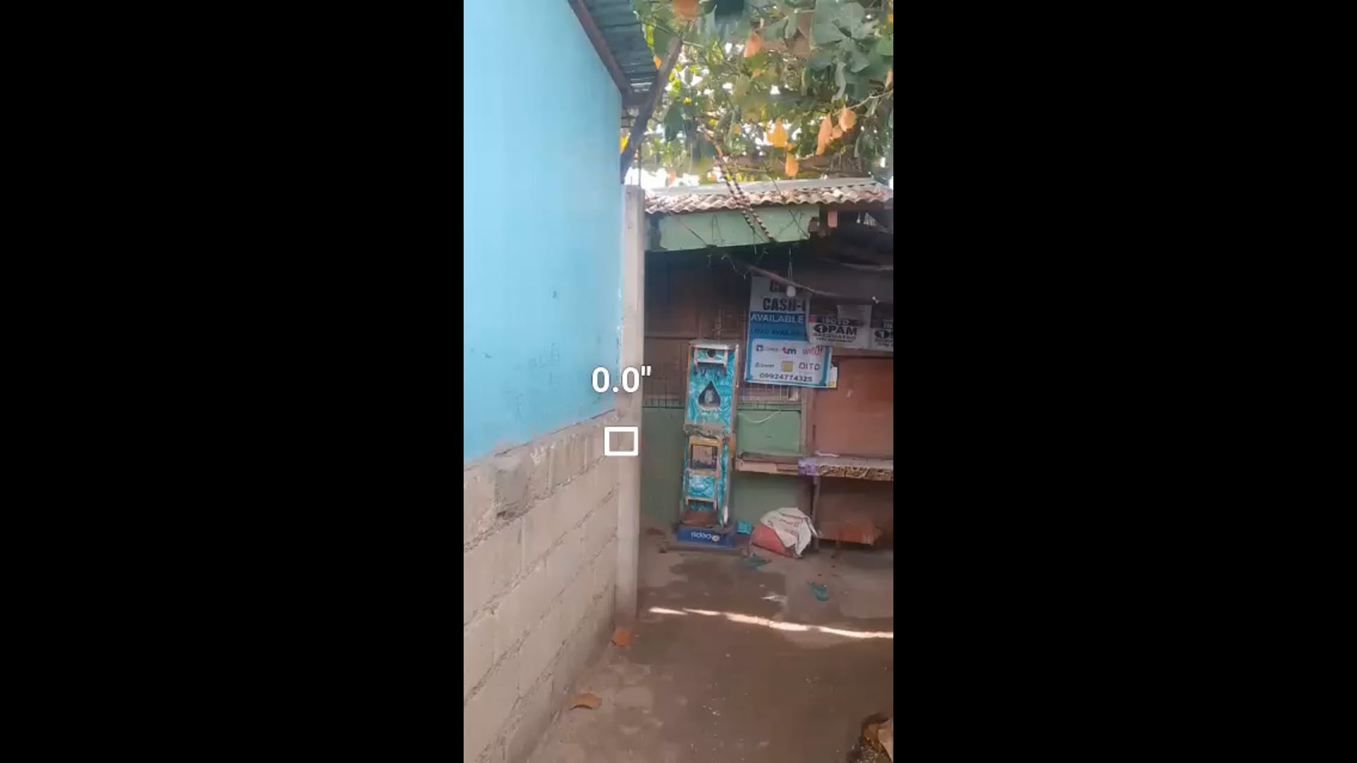 Watch Lei Anthony Montilla's Vertical Jump: 3.5 inches