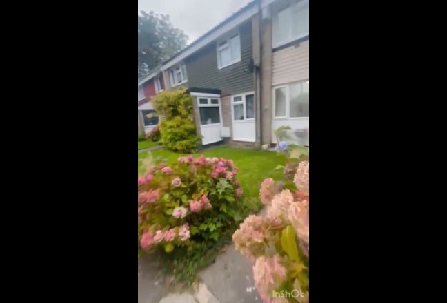 Video 1: 