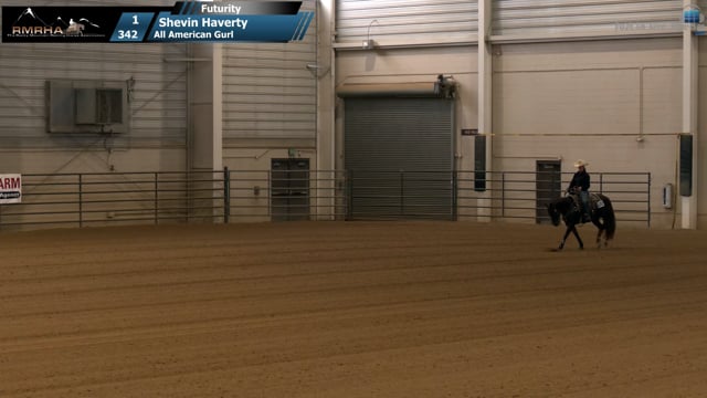 #342 Shevin Haverty