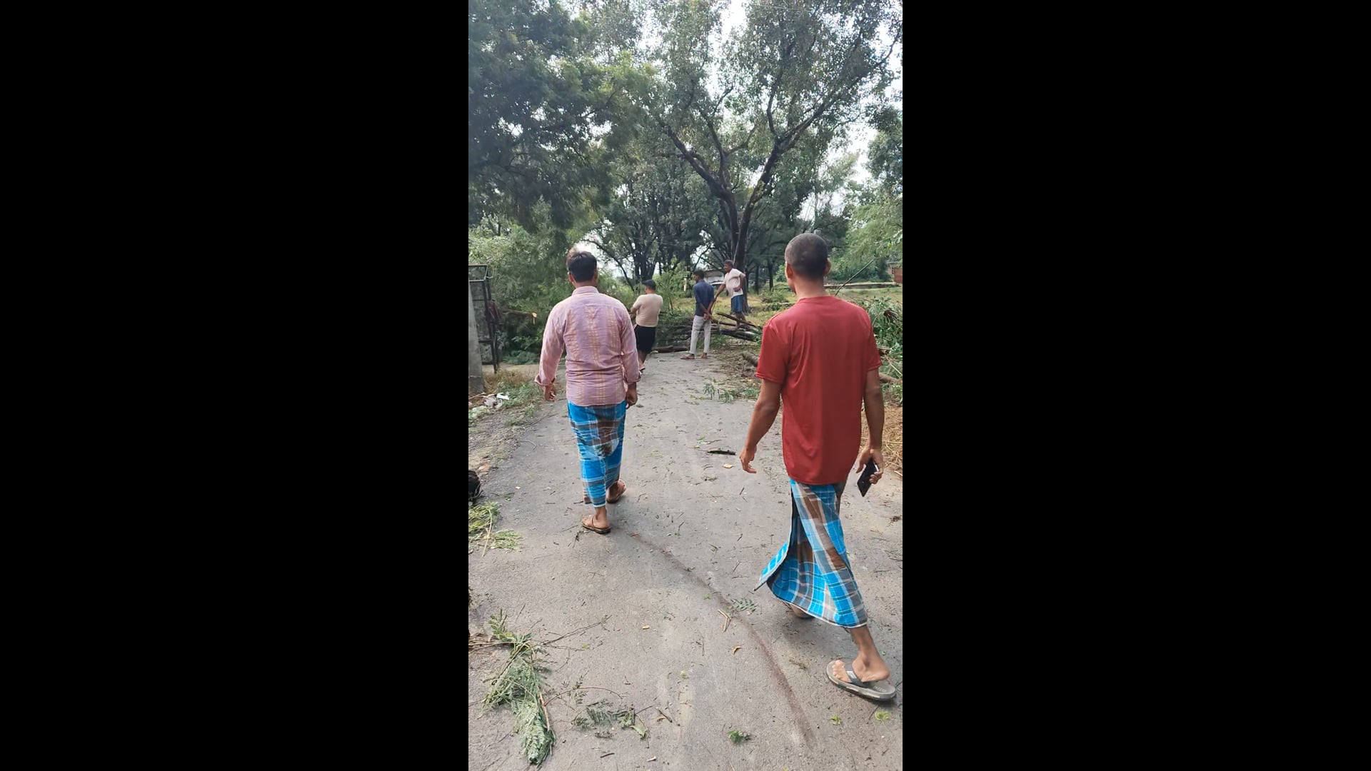 अम्बेडकर नगर आलापुर विधानसभा क्षेत्र में जगह-जगह पेड़ गिरने से यातायात बाधित
