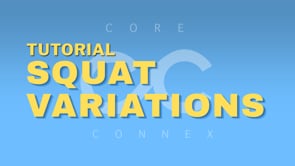 Related Embedded Video Item Thumbnail
