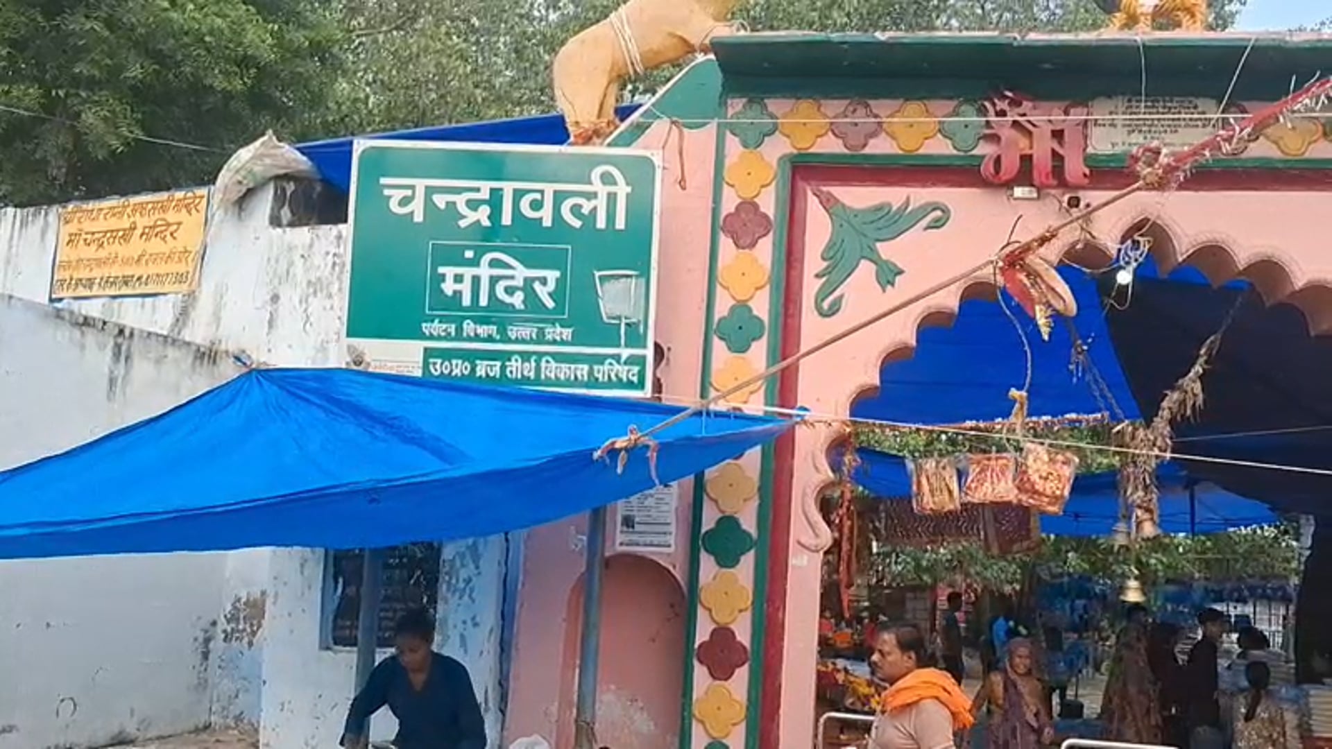 हर सोमवार को मथुरा में लगता है मां चंद्रावल का दरबार लाइव न्यूज़