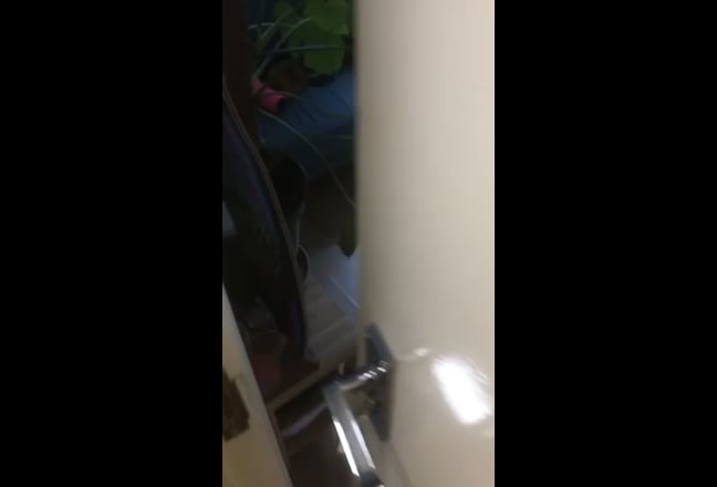 Video 1: 