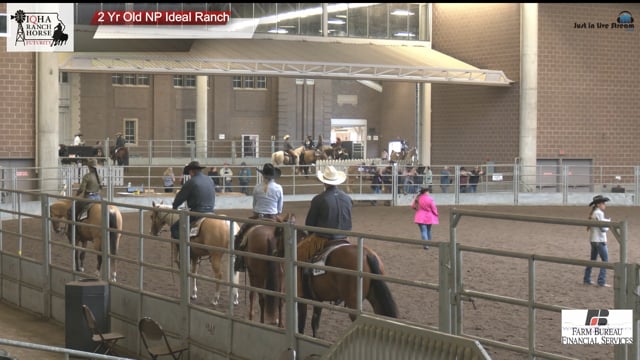 #2 Yr Old NP Ideal Ra 2 Yr Old NP Ideal Ranch (2)
