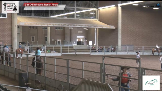 #2 Yr Old NP Ideal Ra 2 Yr Old NP Ideal Ranch Finals