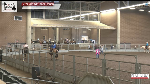 #2 Yr Old NP Ideal Ra 2 Yr Old NP Ideal Ranch