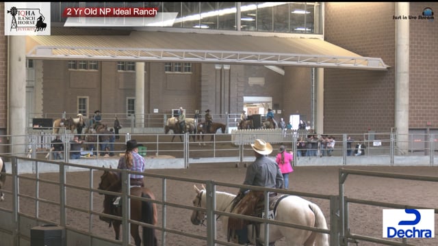 #2 Yr Old NP Ideal Ra 2 Yr Old NP Ideal Ranch (3)