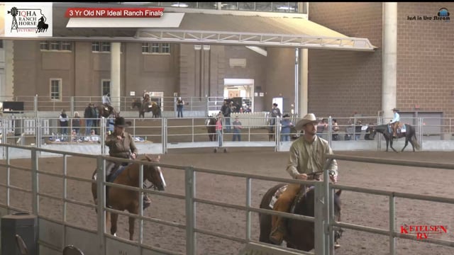 #3 Yr Old NP Ideal Ra 3 Yr Old NP Ideal Ranch Finals
