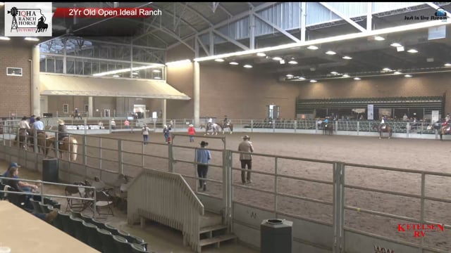 #2Yr Old Open Ideal R 2Yr Old Open Ideal Ranch (2)