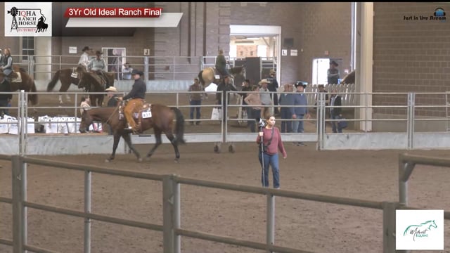 #3Yr Old Ideal Ranch  3Yr Old Ideal Ranch Final