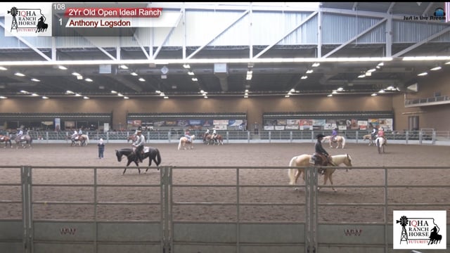 #2Yr Old Open Ideal R 2Yr Old Open Ideal Ranch