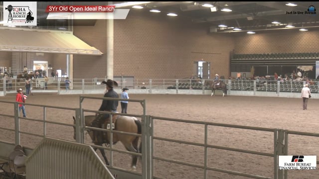 #3Yr Old Open Ideal R 3Yr Old Open Ideal Ranch (2)